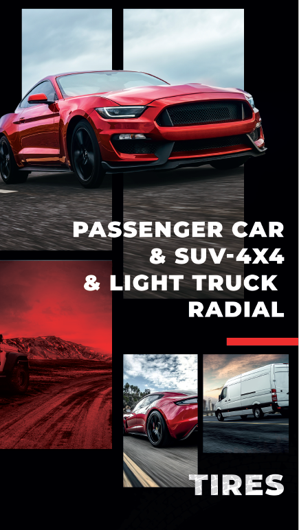 EXPLERO ICE W681| Petlas PCR & SUV-4x4 & LTR Tires Brochure 
